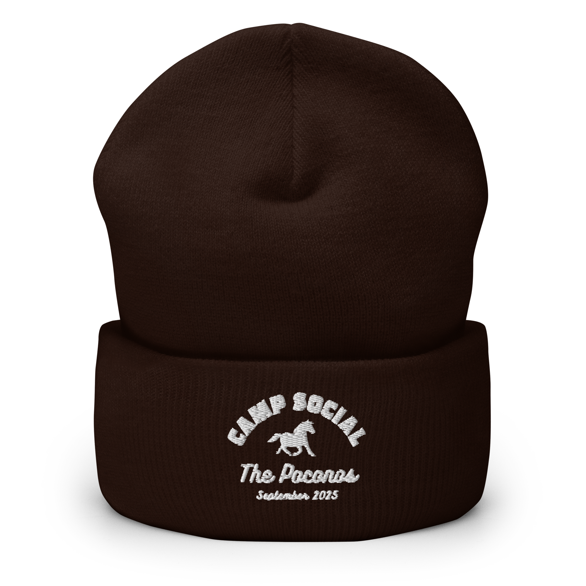 Cuffed Beanie